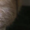 @chatt23 НАШ ЧАТ 25