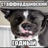 lpr_chat 27
