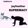 catswarriors 30