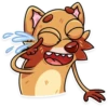 Mr. Raccoon 5