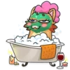 Mr. Raccoon 8