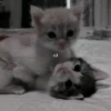 liker killer 9