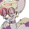Foxxess uwu 7