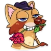 Mr. Raccoon 11