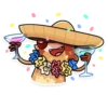 Mr. Raccoon 12
