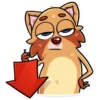 Mr. Raccoon 15