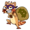 Mr. Raccoon 16