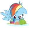 Mlp:Rainbow dash 10