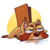 Mr. Raccoon 19