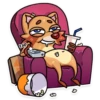 Mr. Raccoon 20