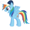 Mlp:Rainbow dash 13