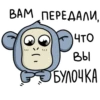 ОбезьRнка Mono 21