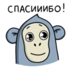 ОбезьRнка Mono 24