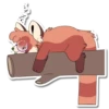 Michi Panda 17