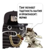Цитаты Lady Bone  из @KotecBot 27