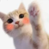 Meow^.^ 29