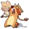 Mr. Raccoon 30