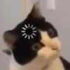 Kit 9
