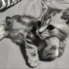Стикеры тYт: 12