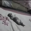 Стикеры тYт: 13