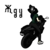 Motocat 24