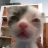 Стики 9746 из @Anonymnyi_chat_bot 5