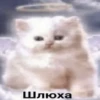 Стики 9746 из @Anonymnyi_chat_bot 6