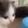 Стики 9746 из @Anonymnyi_chat_bot 7