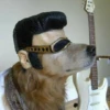MOOD DOGS | @HOLYPULPFICTION 6