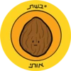 Dviki holidays דביקי חגים 6