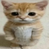 Стики 9746 из @Anonymnyi_chat_bot 10
