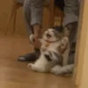 Стики 9746 из @Anonymnyi_chat_bot 12