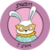 Dviki holidays דביקי חגים 8