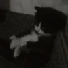 Стики 9746 из @Anonymnyi_chat_bot 13