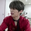 LEE MINHO STRAY KIDS 8