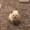 Стики 9746 из @Anonymnyi_chat_bot 15