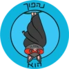 Dviki holidays דביקי חגים 12