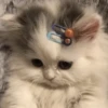 Стики 9746 из @Anonymnyi_chat_bot 16