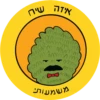 Dviki is sad 2 דביקי מוריד 9