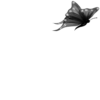 ·₊˚Black2 🖤|| @iy_4 ٫ @llimu0 . 17