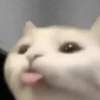 Стики 9746 из @Anonymnyi_chat_bot 23