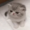 Стики 9746 из @Anonymnyi_chat_bot 24