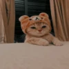 Кошьки @cute_meow_cats 21