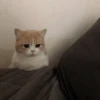 Стики 9746 из @Anonymnyi_chat_bot 25