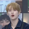 LEE MINHO STRAY KIDS 29