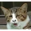 Depressed by www.tva-community.chat [PACK 2.2] 8
