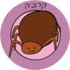 Dviki is sad דביקי מוריד 8