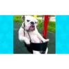 Dumb Dogs 5