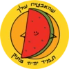 Dviki blessings דביקי ברכות 13