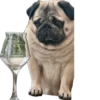 Double Dog 14